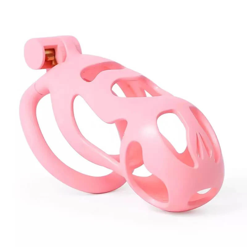 3D Printing Chastity Cock Cage - Image 3