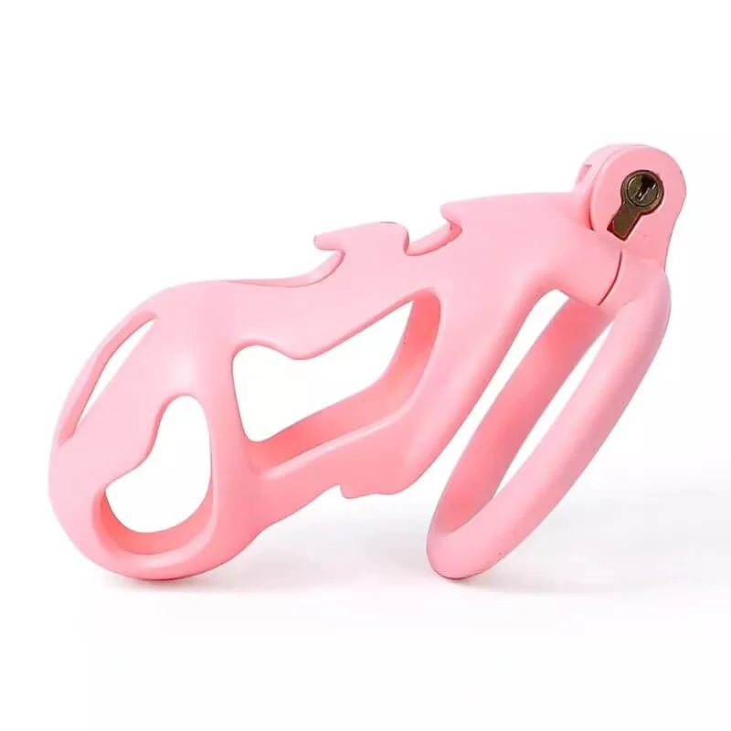 3D Printing Chastity Cock Cage - Image 4