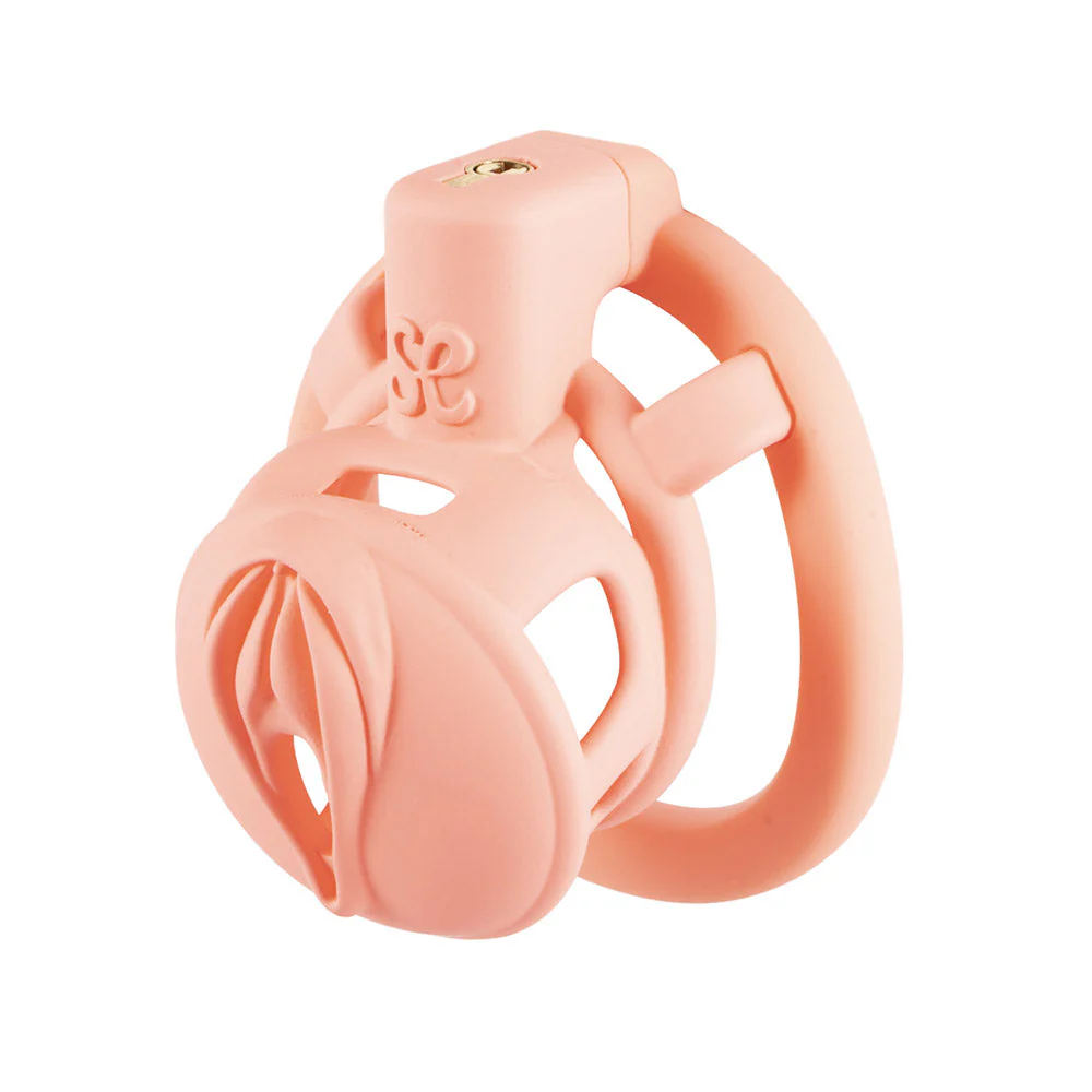 3D  Pussy Chastity Cage - Image 4