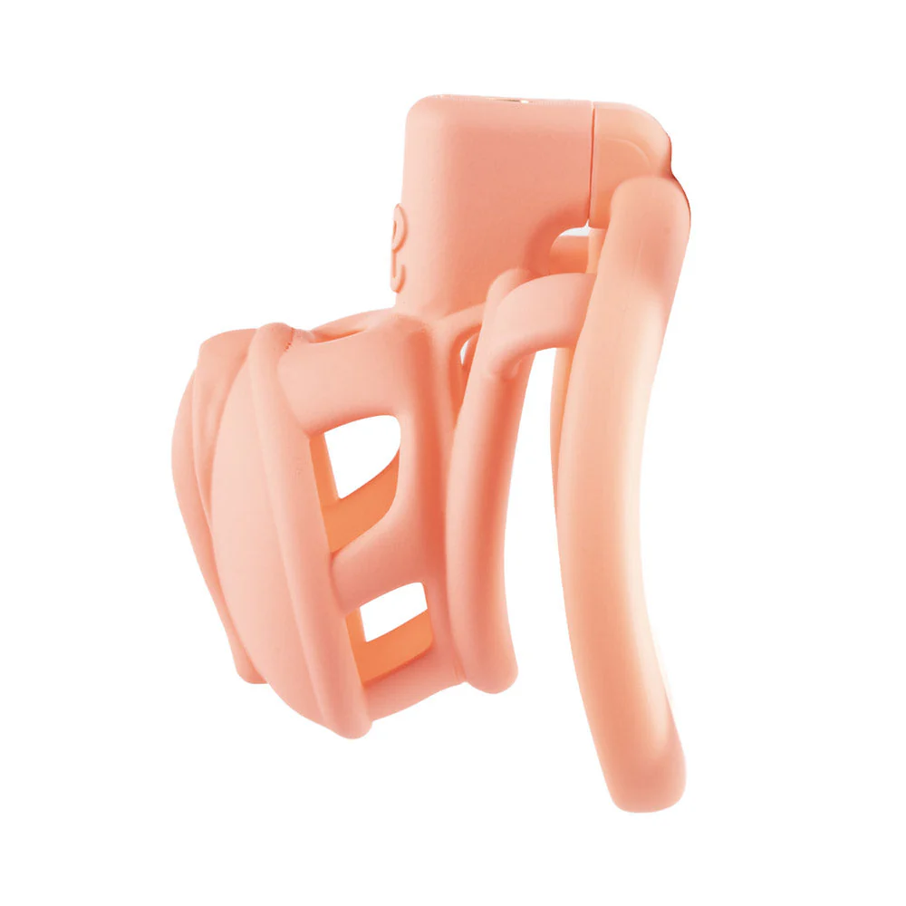 3D  Pussy Chastity Cage - Image 5