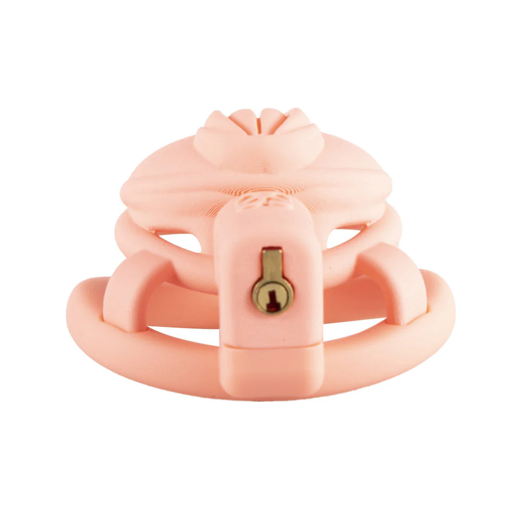 3D  Pussy Chastity Cage - Image 6