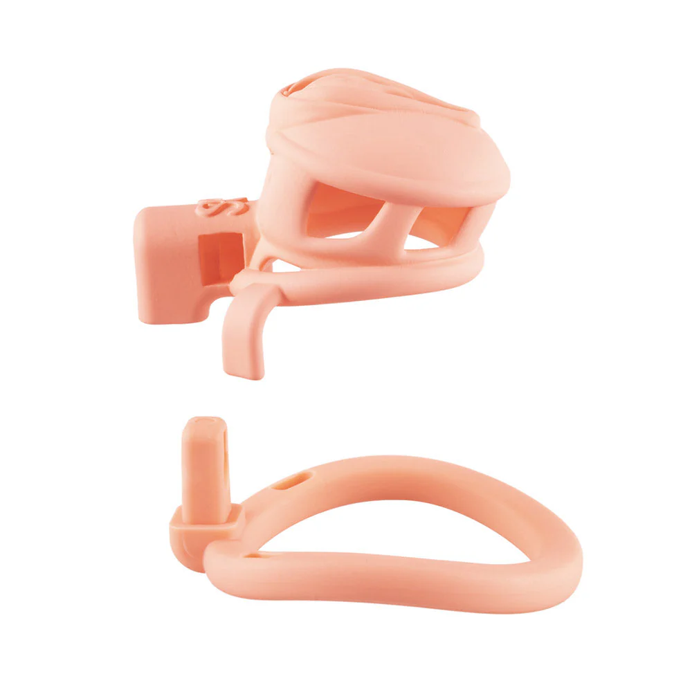 3D  Pussy Chastity Cage - Image 7