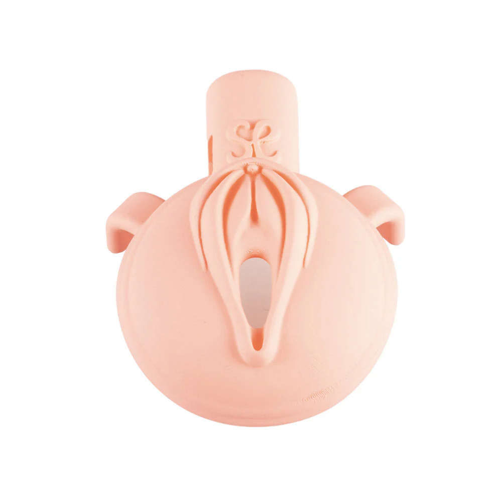 3D  Pussy Chastity Cage - Image 8