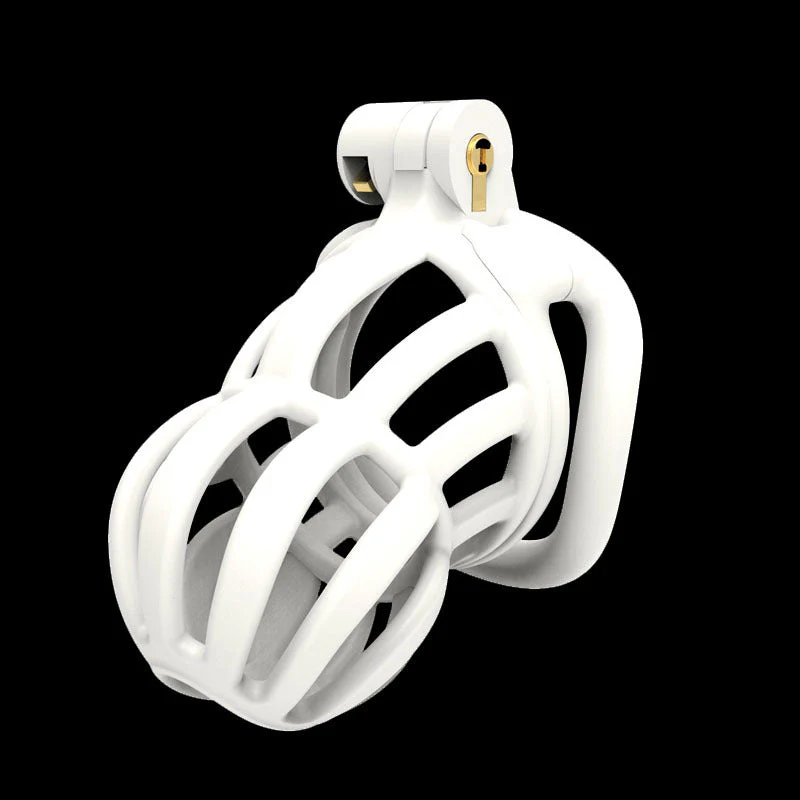 3D Stegosaurus Narrow Face Chastity Device Kit - Image 5