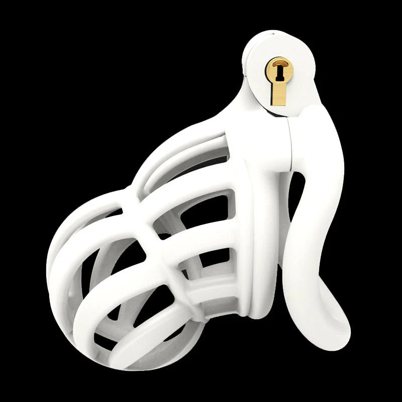 3D Stegosaurus Narrow Face Chastity Device Kit - Image 6