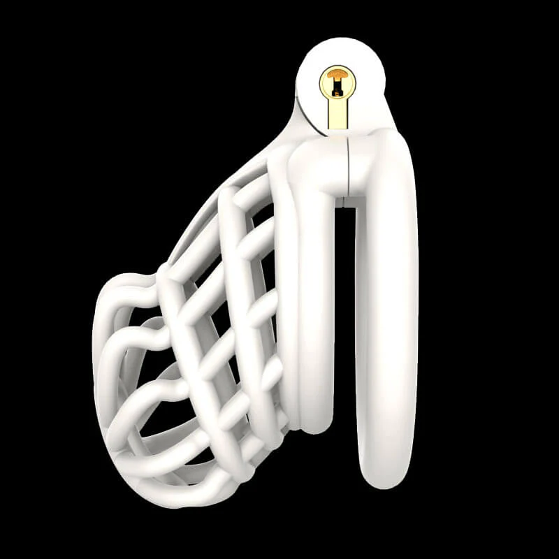 3D Stegosaurus Spine Bone Chastity Device Kit - Image 5