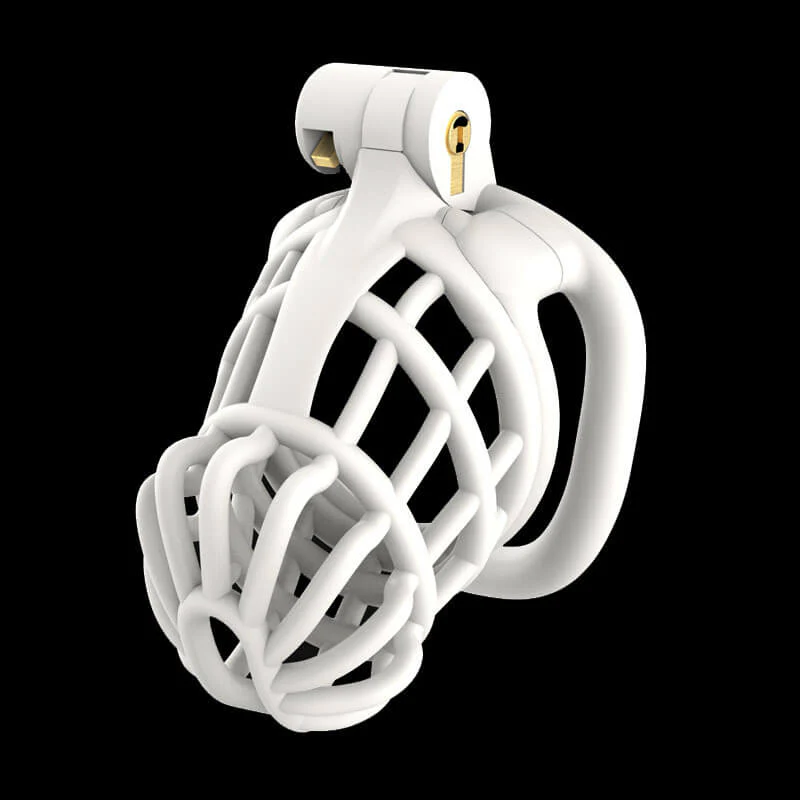 3D Stegosaurus Spine Bone Chastity Device Kit - Image 6