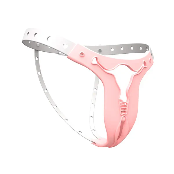 Adjustable SM Sissy Belt – Ascetic Series - Image 2