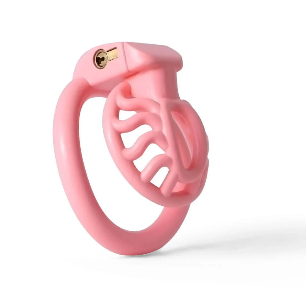 BDSM 3D Printing Sun Spider Chastity Device - Image 3