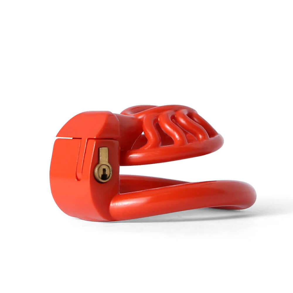 BDSM 3D Printing Sun Spider Chastity Device - Image 7