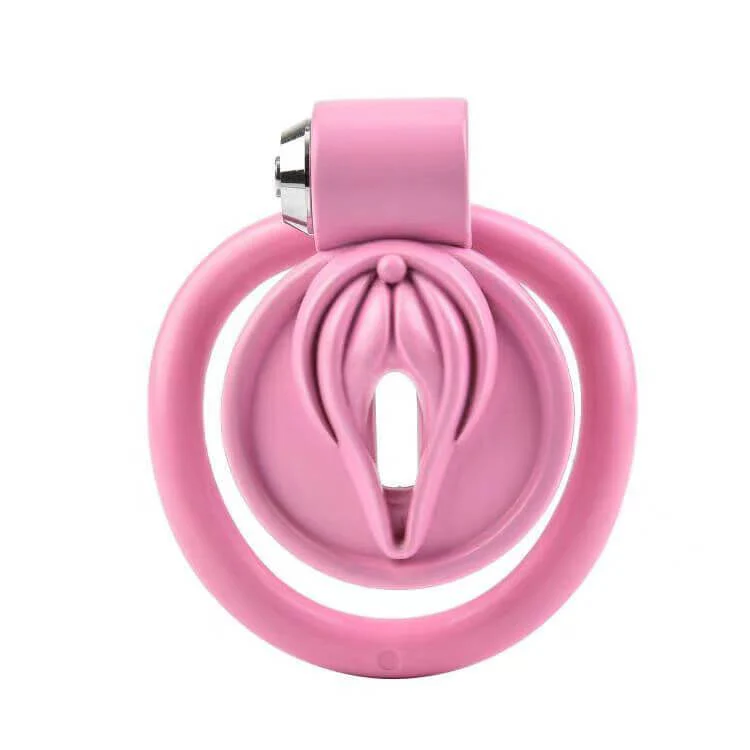 BDSM Bondage Follow-up Pussy Chastity Cage - Image 2