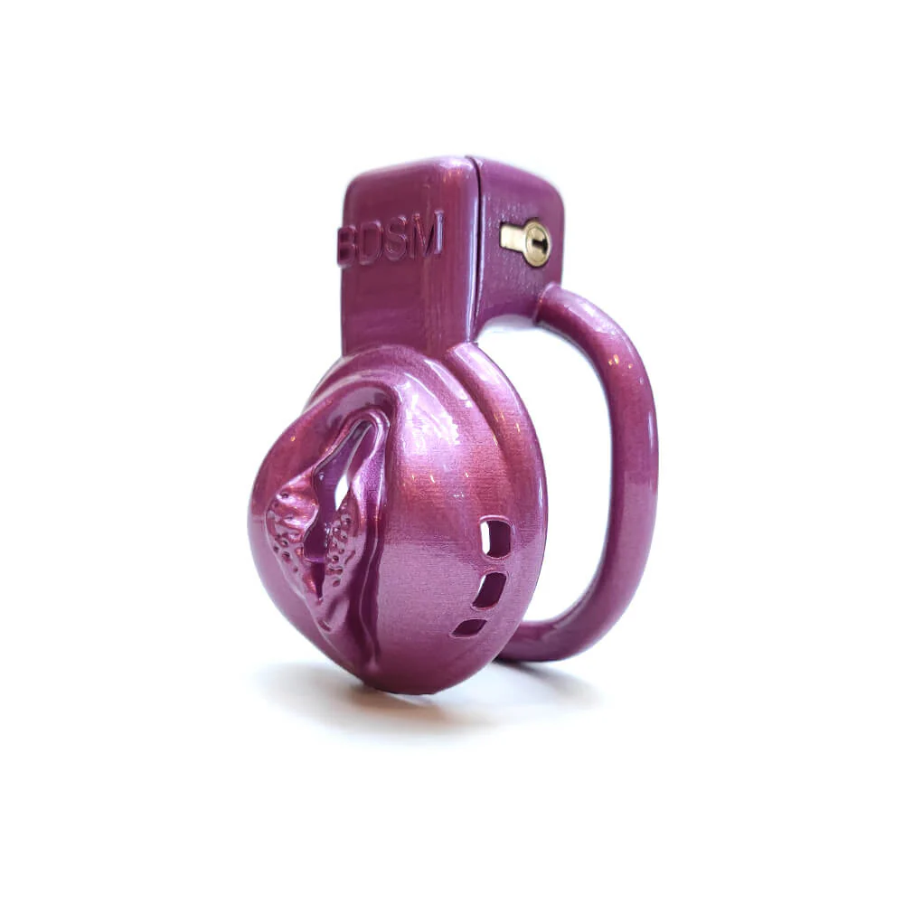 BDSM Vaginal Chastity Devices Cage - Image 2