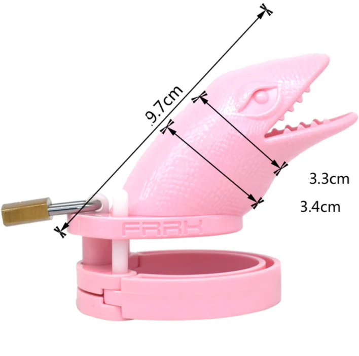 Chastity Cage 3.81 Inches Long (All 5 Rings Included) - Image 2
