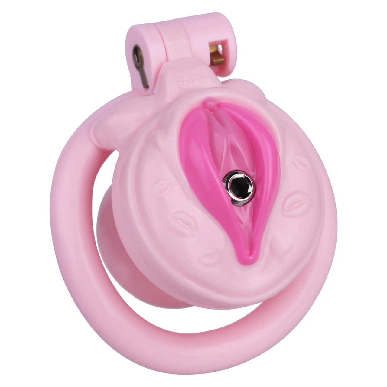 DIY Sissy Pussy Cage