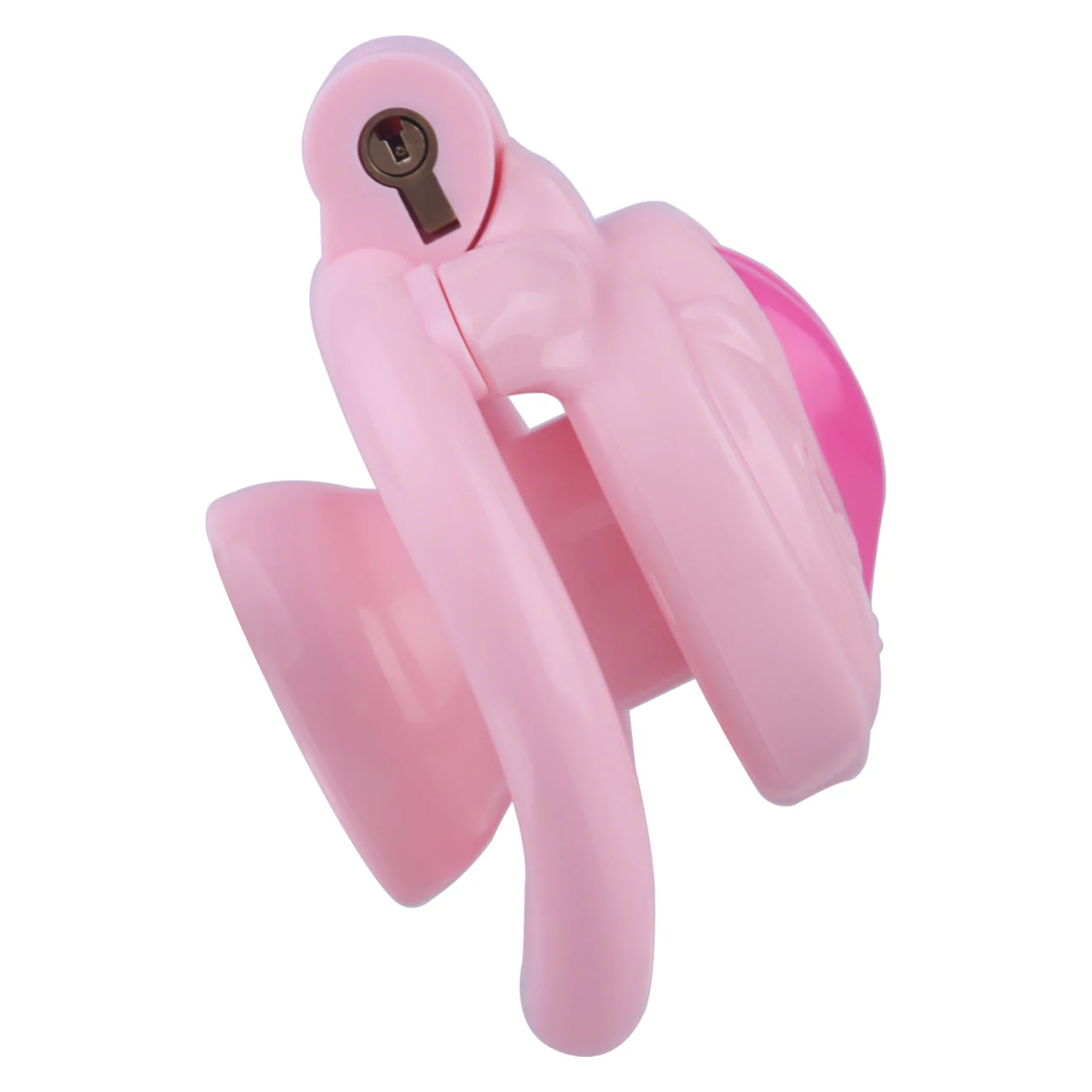 DIY Sissy Pussy Cage - Image 12