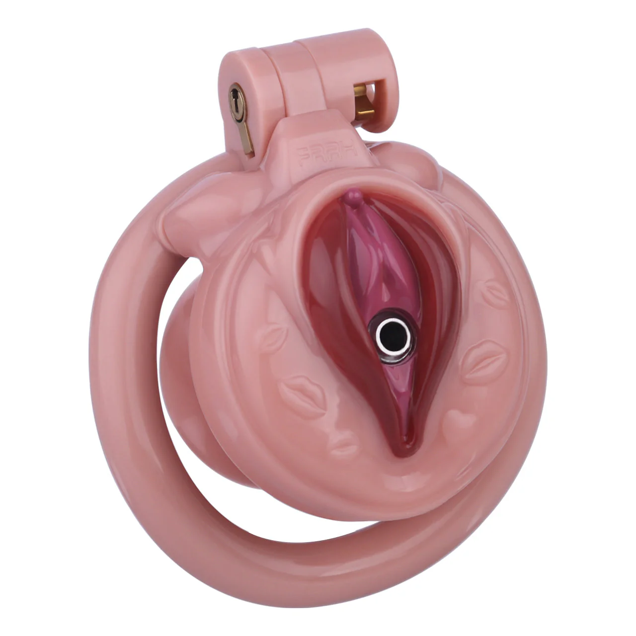DIY Sissy Pussy Cage - Image 3
