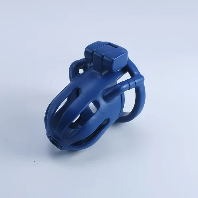 Dragon's Lock – Custom Steel Chastity Prison - Image 4