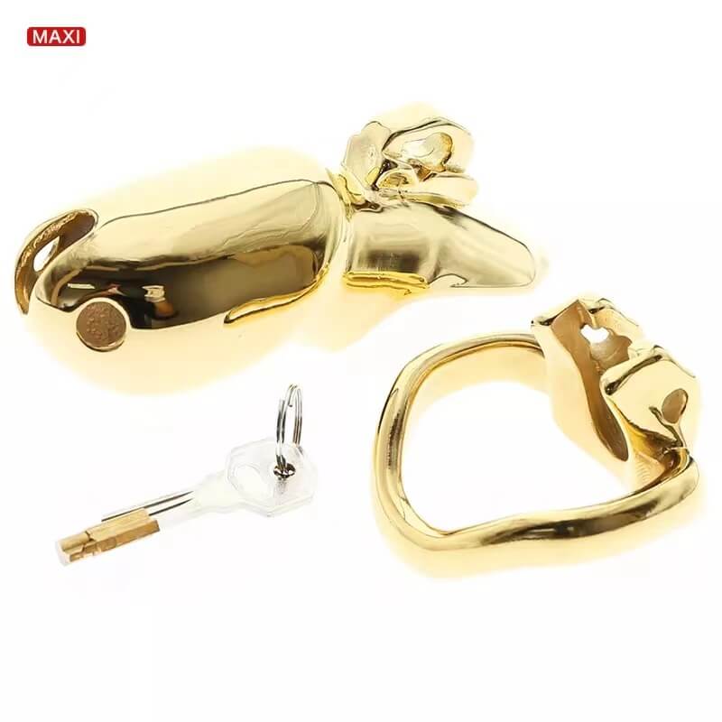 HTV3 Gold Chastity Cage - Image 11