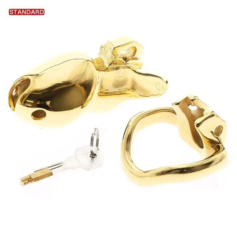 HTV3 Gold Chastity Cage - Image 12
