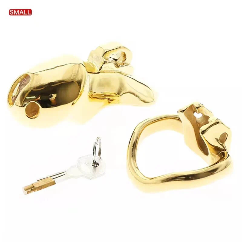 HTV3 Gold Chastity Cage - Image 7