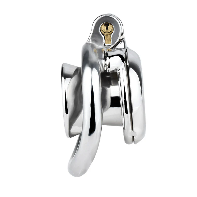 Inverted Penis Chastity Device - Image 11