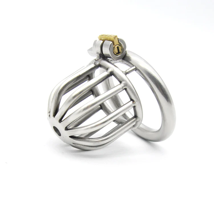Locked and Shamed Metal Chastity Cage - Image 3