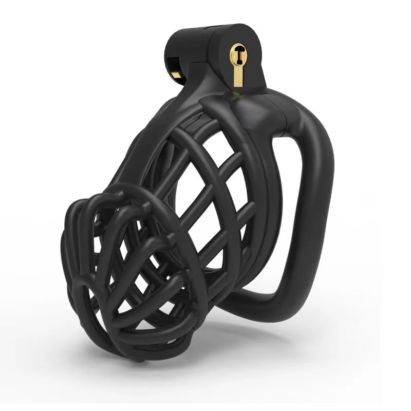 Male Chastity Cage For Sissy - Image 6