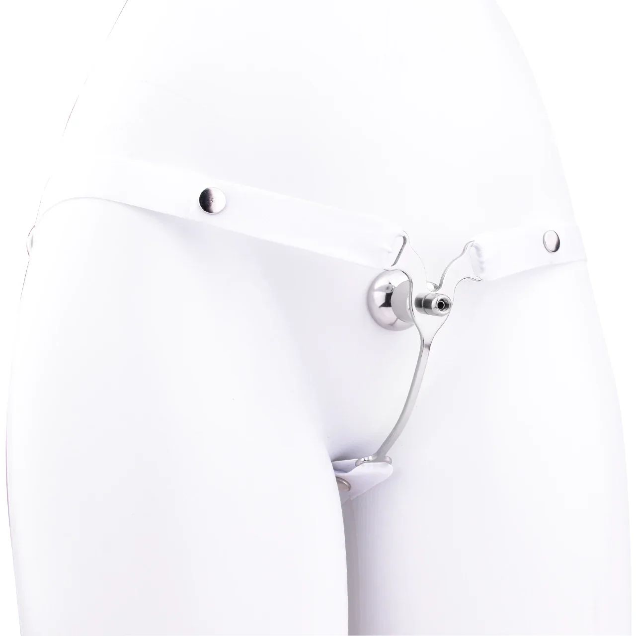 Male to Female Transformation Chastity Belt - Image 14