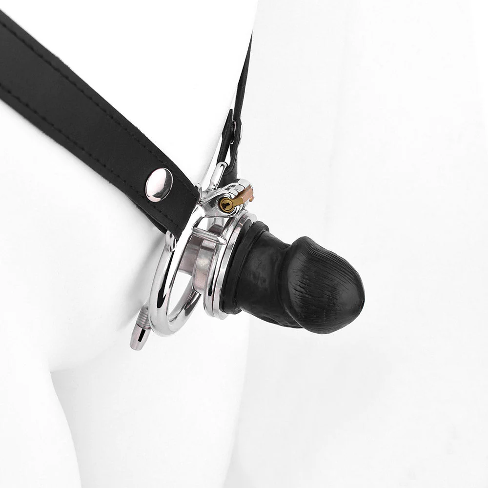 Negative Chastity Device & Detachable Dildo and  Urethral - Image 26