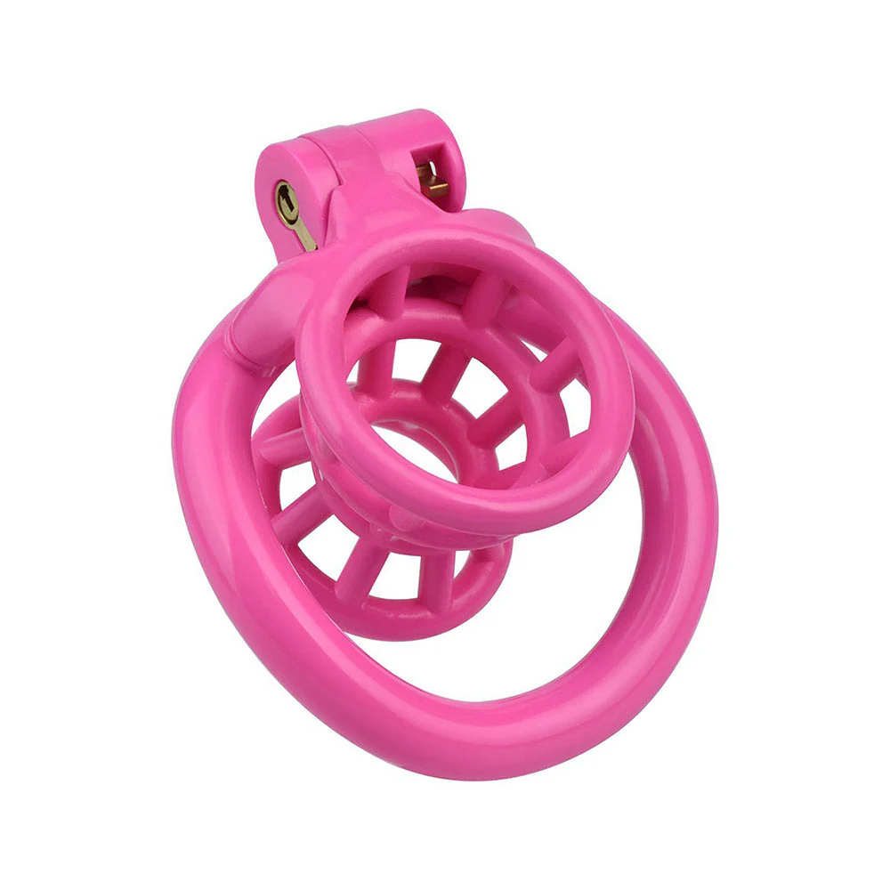 Negative Fish Basket Chastity Lock - Image 2
