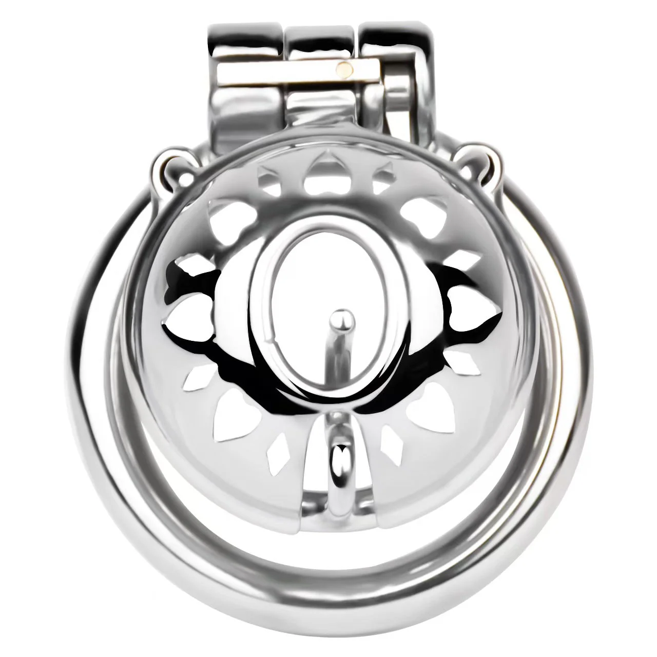 PA Chastity Cage - Image 3