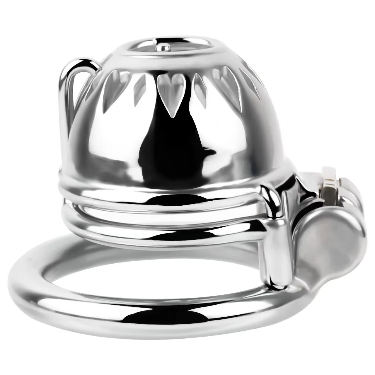 PA Chastity Cage - Image 5