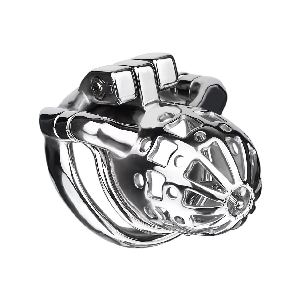 PA Chastity Cage Removable - Image 12
