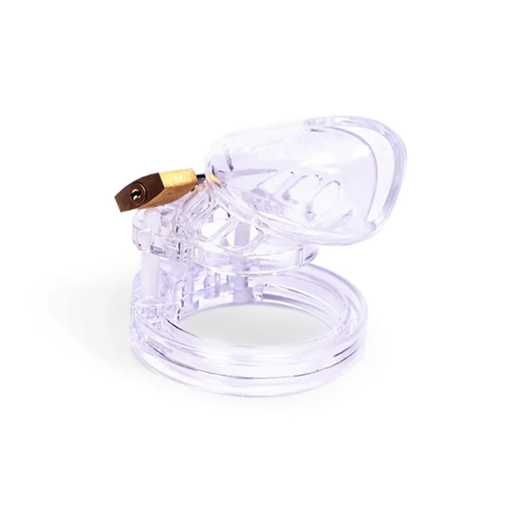 In Plain Sight Male Chastity Device 3.15 inches long - Image 5