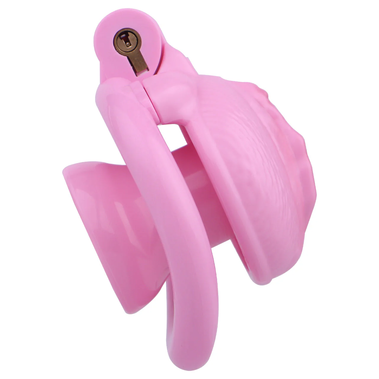Realistic Pussy Chastity Cage - Image 6