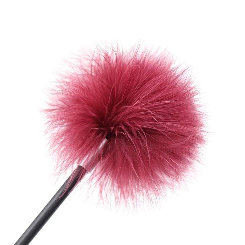 Reward and Punishment Feather Whip - Image 3