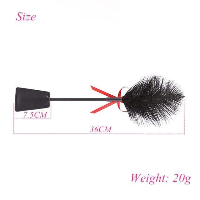 Reward and Punishment Feather Whip - Image 6