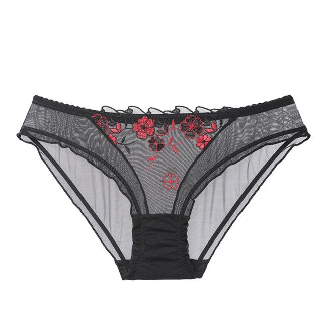 See-Through Panties - Image 8
