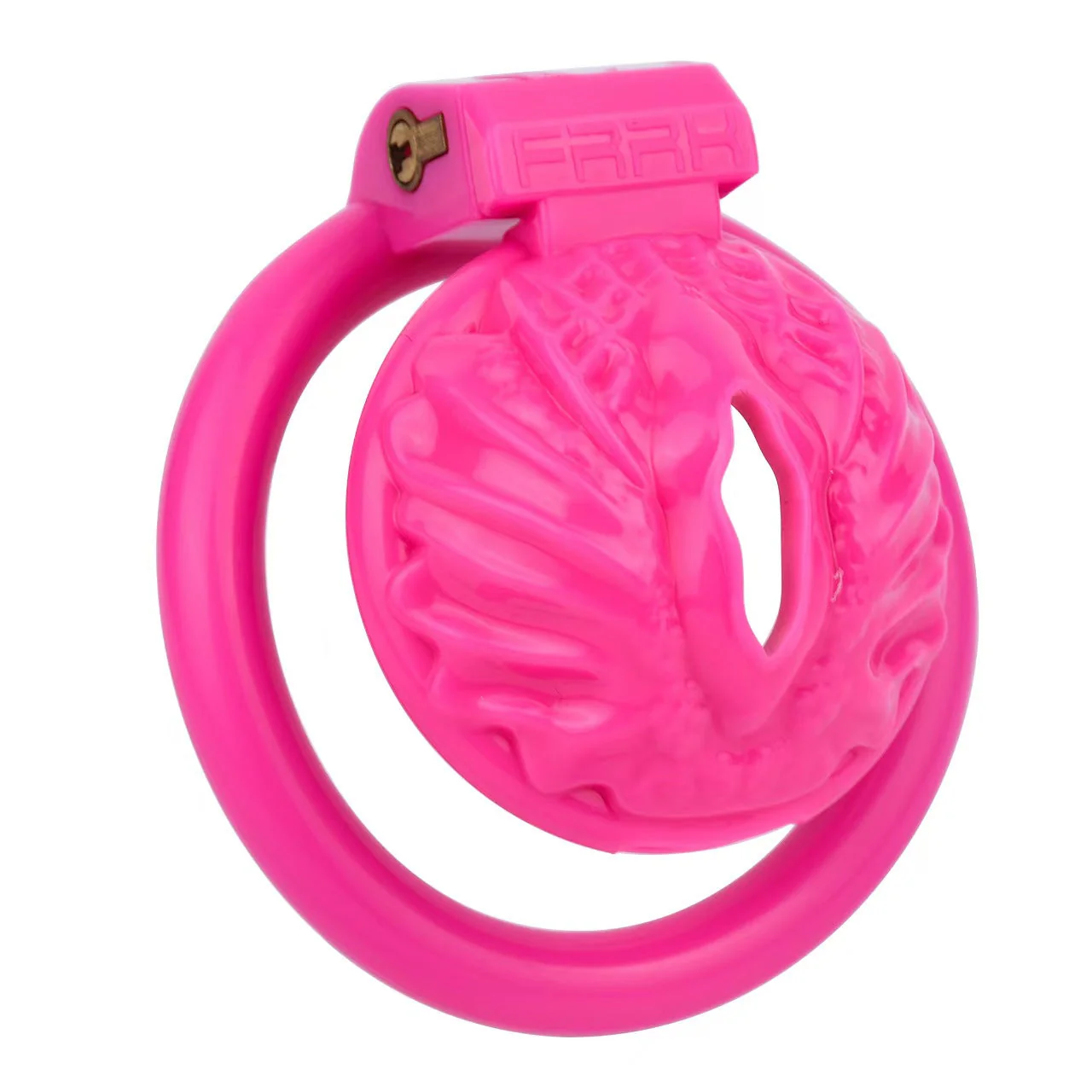 Sissy Pussy Chastity Cage - Image 10