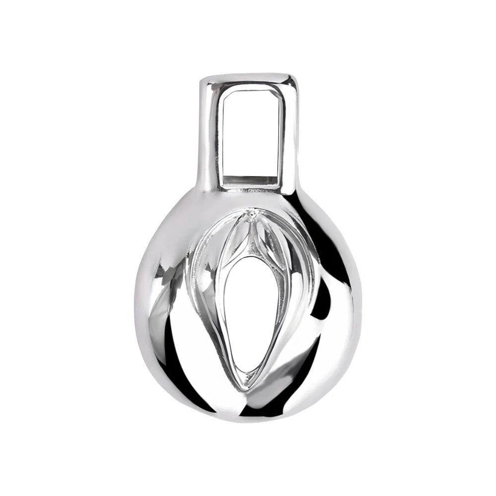 Pussy Chastity - Steel Clitty Chastity Cage with Belt - Image 4
