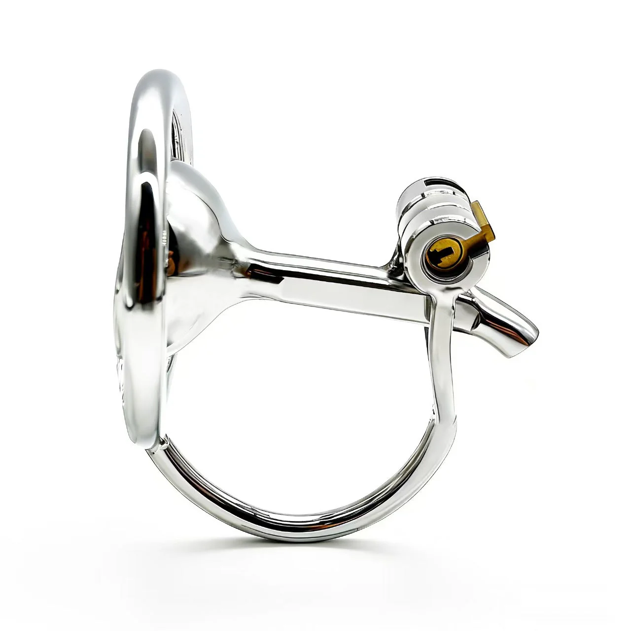 Steel Inverted Restraint Cage - Image 3