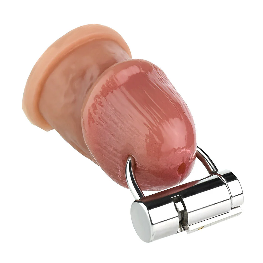 Steel Pa Lock - Image 2