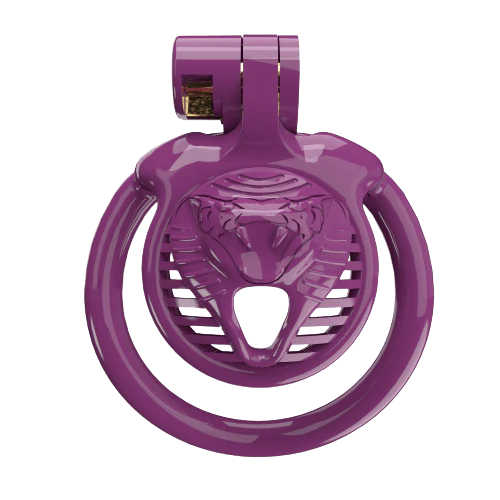 Super Small CX-4 Sissy Chastity Cage With 5 Arc Rings - Image 4