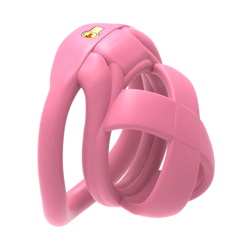 The Model X Chastity Cage - Image 15