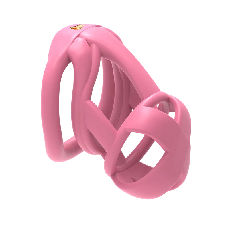 The Model X Chastity Cage - Image 17