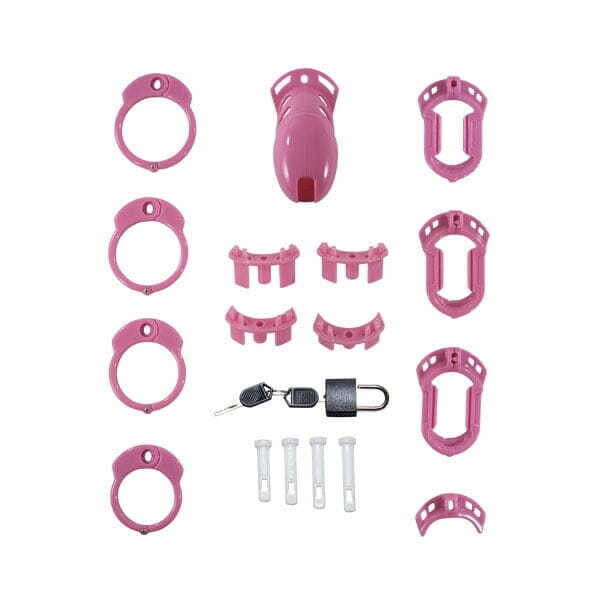 The Vice Chastity Cage I Standard - Image 5